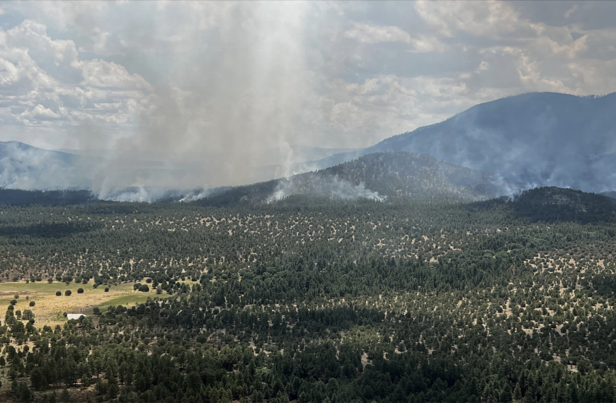 The Divide Fire burned 26, 514 acres in the Gila National Forest, New Mexico.